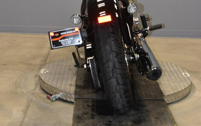 2025 Harley-Davidson Street Bob