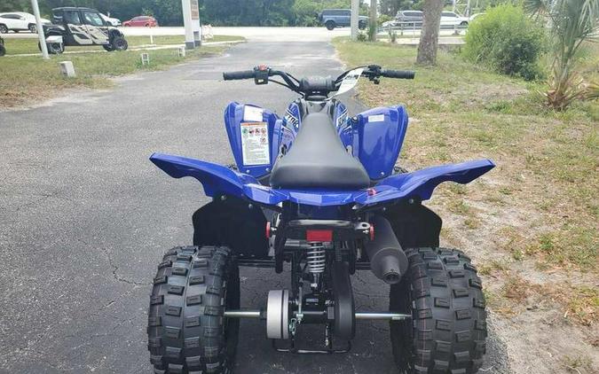 2026 Yamaha Raptor 110