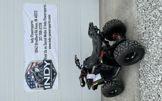 2026 Denago Powersports Mudhawk 10FI