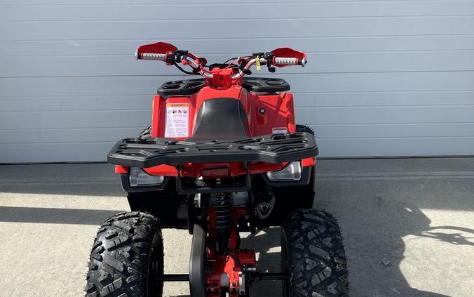 2026 Mudhawk 10FI - Denago Powersports