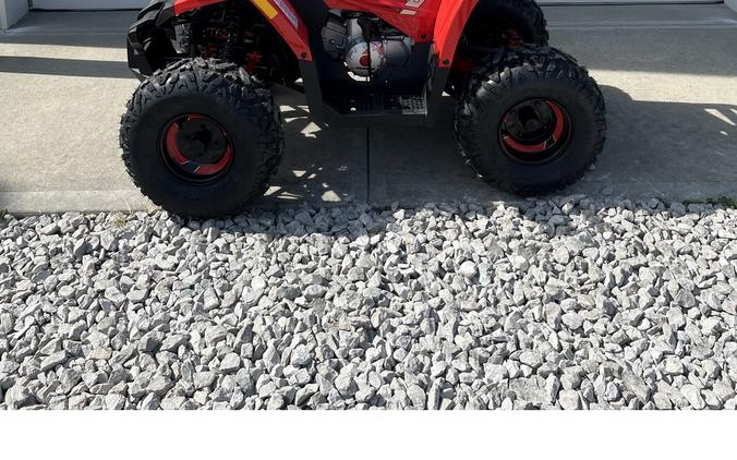 2026 Mudhawk 10FI - Denago Powersports