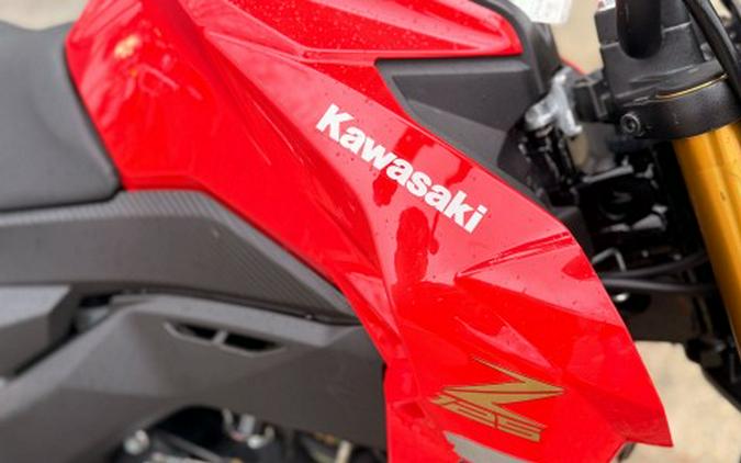 2023 Kawasaki Z125 Pro