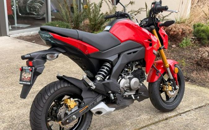2023 Kawasaki Z125 Pro