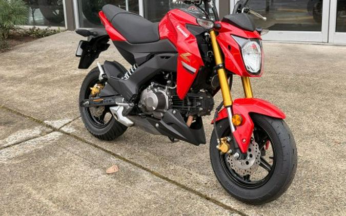 2023 Kawasaki Z125 Pro