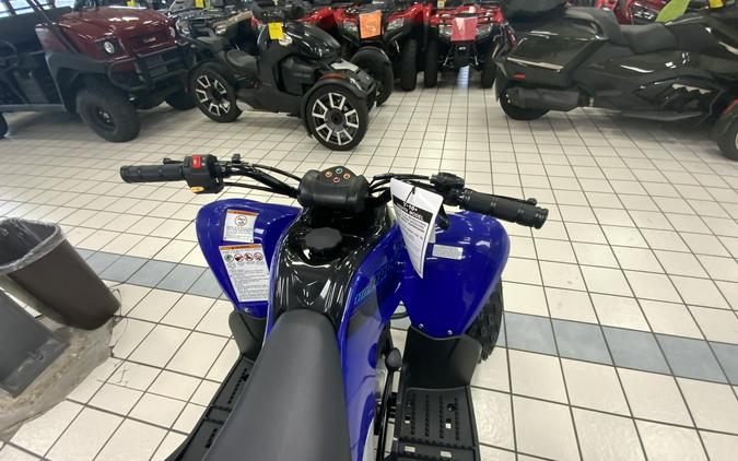 2024 Yamaha Raptor 110