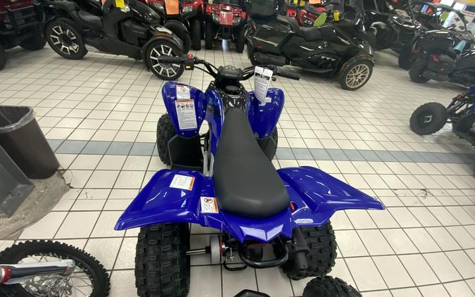 2024 Yamaha Raptor 110