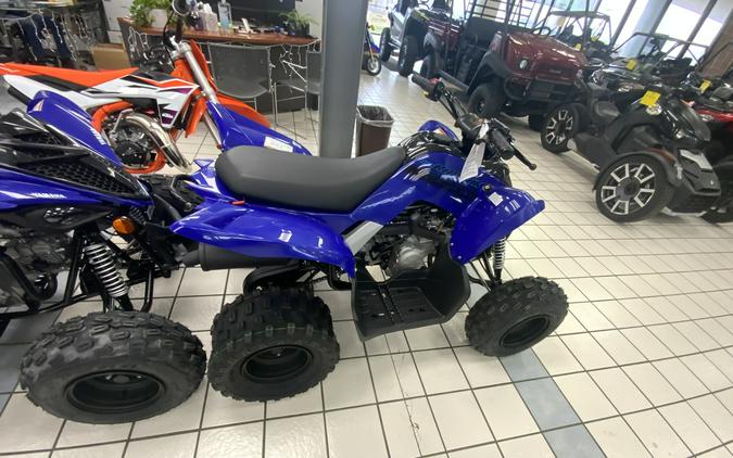 2024 Yamaha Raptor 110