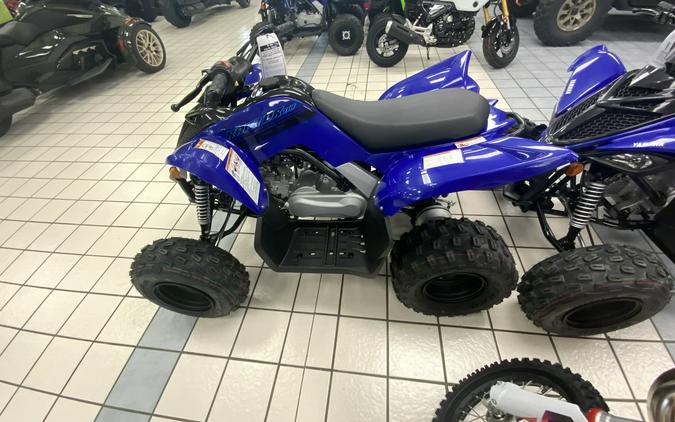 2024 Yamaha Raptor 110