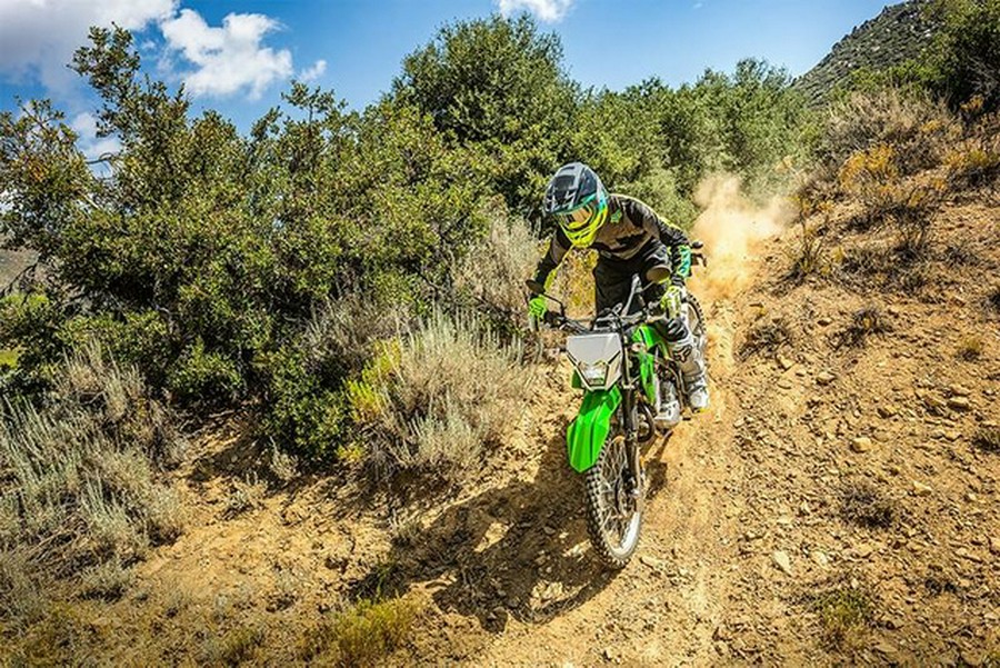 2023 Kawasaki KLX 230S ABS