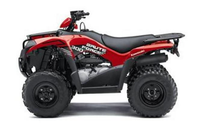 2024 Kawasaki Brute Force® 300