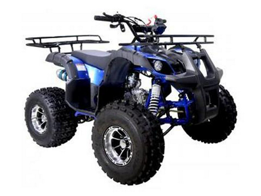 2021 Tao Motor TForce 120