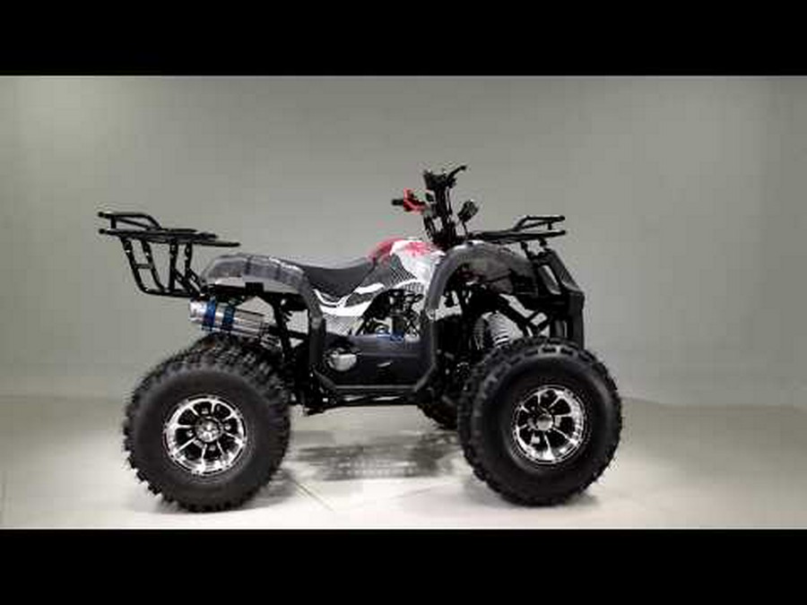 2021 Tao Motor TForce 120