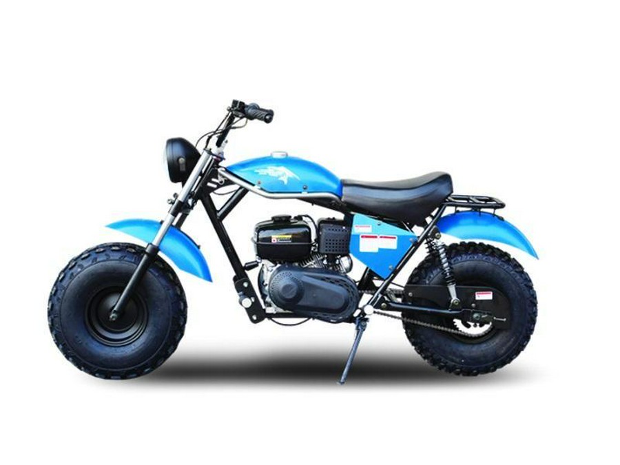 2020 TrailMaster Mini Bike