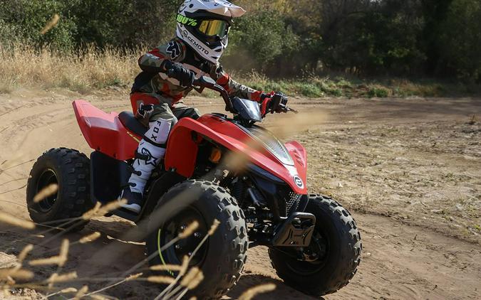 2023 CFMOTO CForce 110