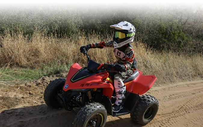 2023 CFMOTO CForce 110