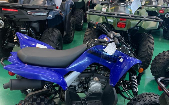 2024 Yamaha Raptor 110