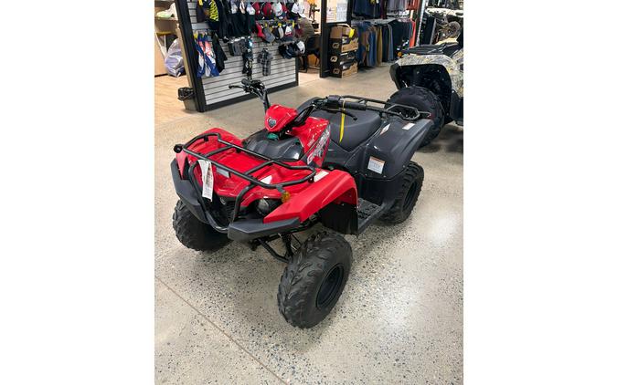 2025 Yamaha GRIZZLY 110