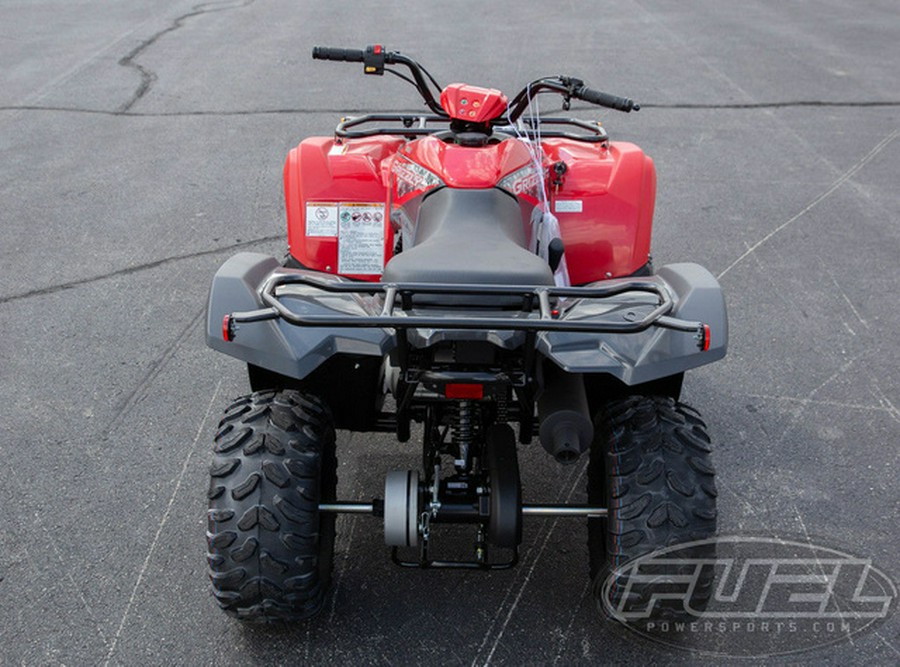 2025 Yamaha Grizzly 110