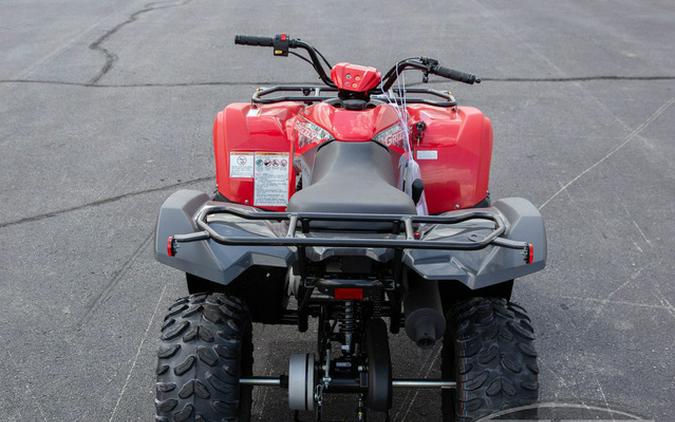 2025 Yamaha Grizzly 110