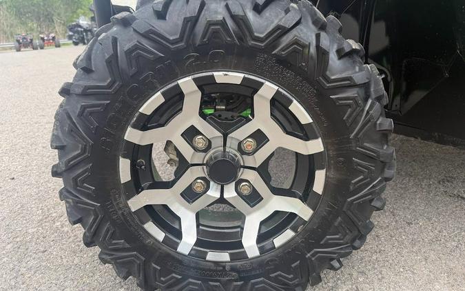2020 Kawasaki Teryx LE