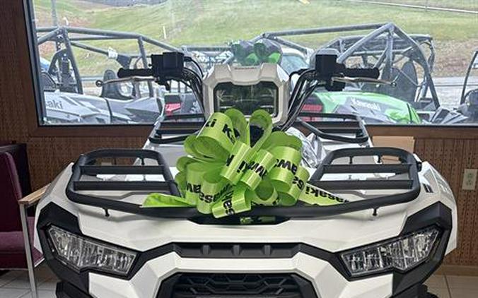 2025 Kawasaki Brute Force 450 4x4