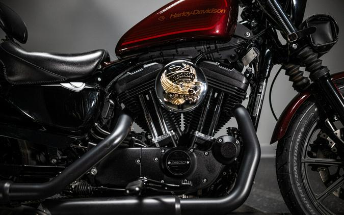 2019 Iron 1200™ (XL1200NS)