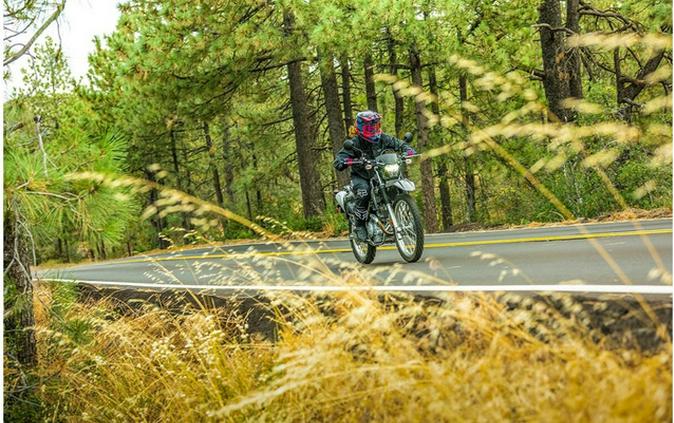2023 Kawasaki KLX 230S ABS