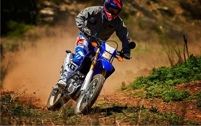 2017 Yamaha WR250R