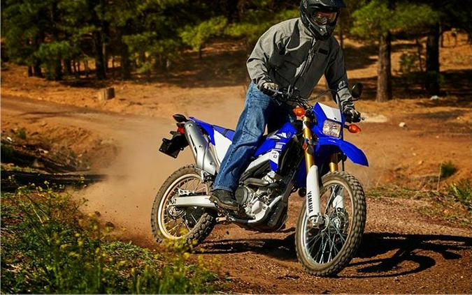 2017 Yamaha WR250R