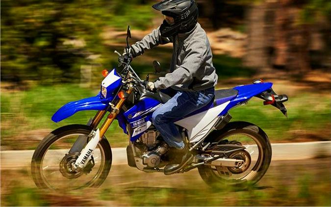 2017 Yamaha WR250R