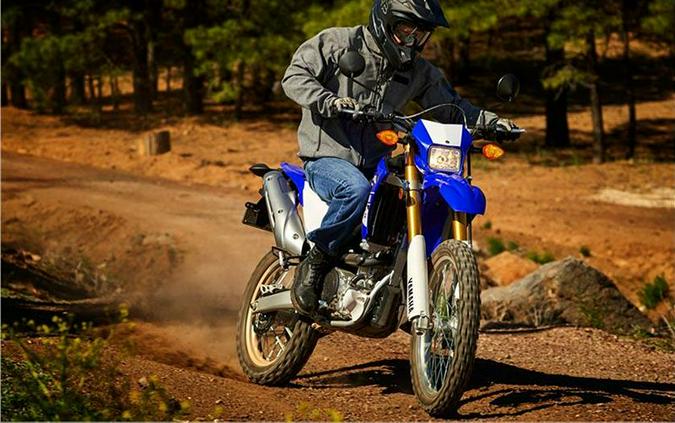 2017 Yamaha WR250R