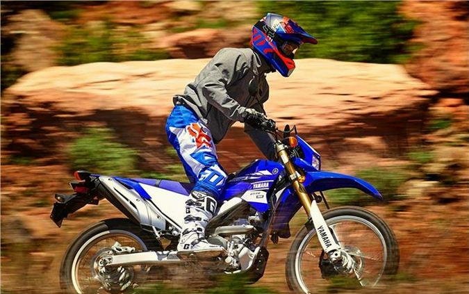 2017 Yamaha WR250R