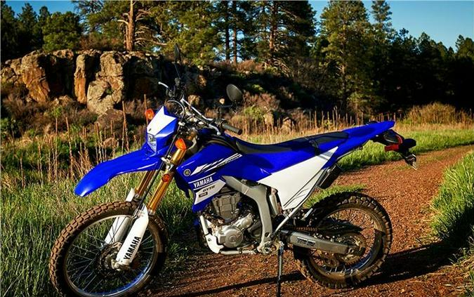 2017 Yamaha WR250R