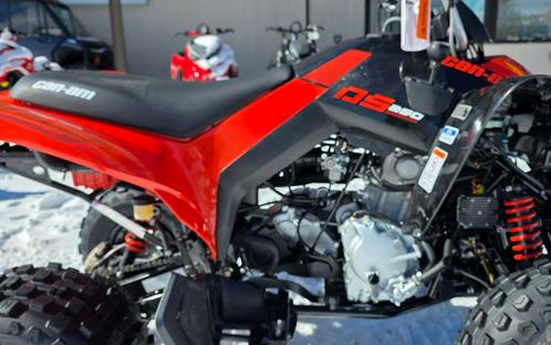 2026 Can-Am DS 250