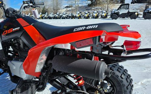 2026 Can-Am DS 250