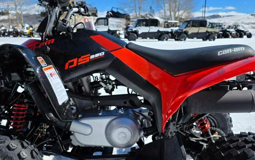 2026 Can-Am DS 250