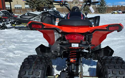 2026 Can-Am DS 250