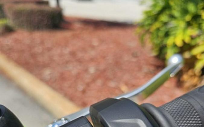 2025 Triumph Tiger Sport 660 Roulette Green SPORT 660