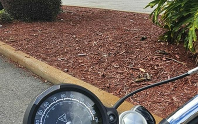 2025 Triumph Bonneville Speedmaster Jet Black