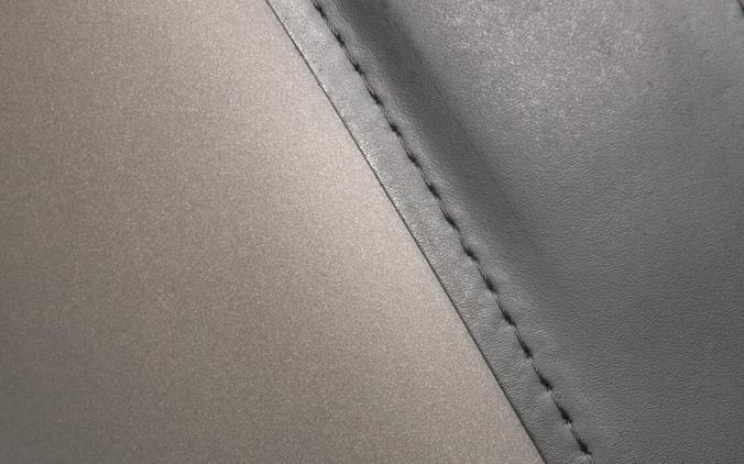 2018 HARLEY-DAVIDSON FLSL SLIM in Industrial Gray Denim