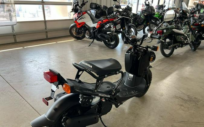 2024 Honda Ruckus Base