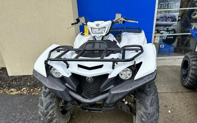 2019 Yamaha Grizzly EPS