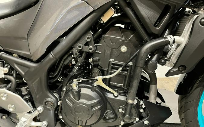 2024 Yamaha Motor Corp., USA MT-03