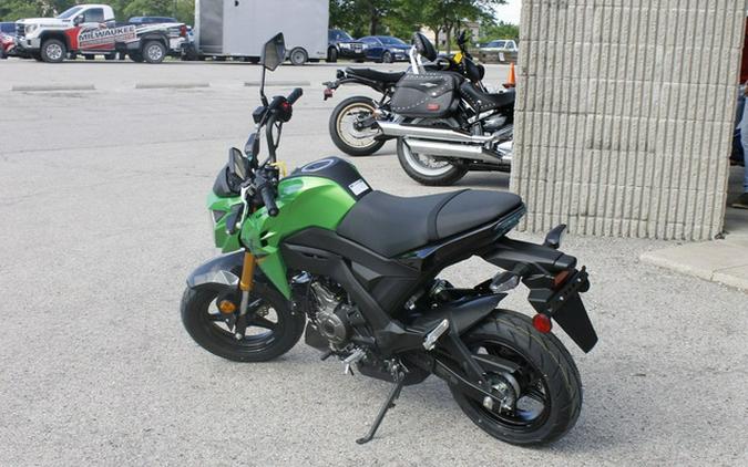 2024 Kawasaki Z125 PRO