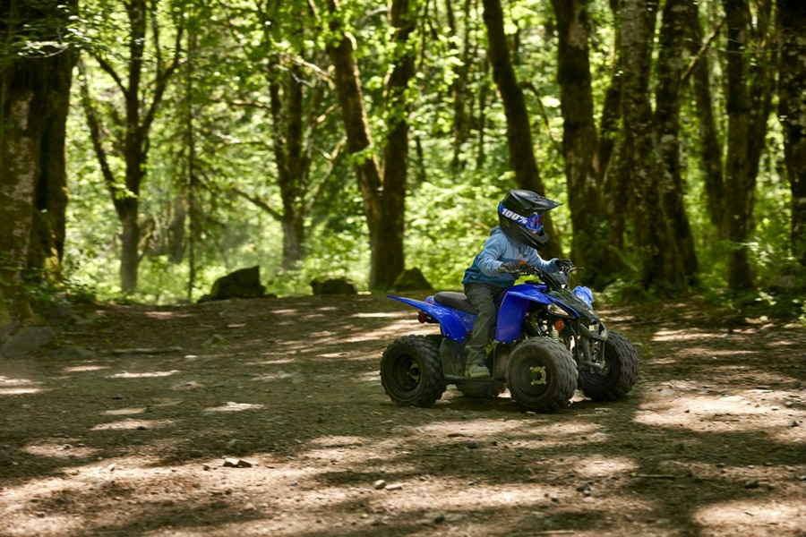 2024 Yamaha YFZ 50