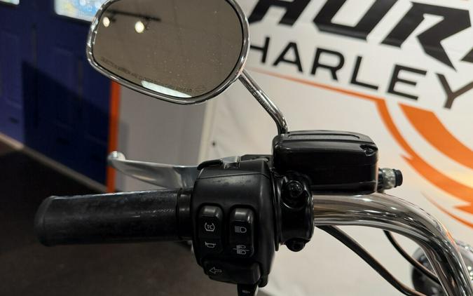 2020 Harley-Davidson® Road King®