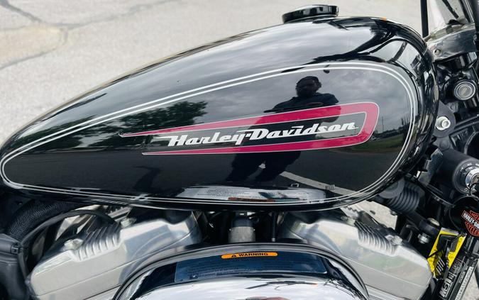 2009 Harley-Davidson Sportster® 883 Custom XL883C