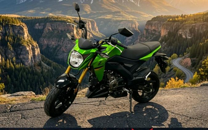2024 Kawasaki Z125 PRO