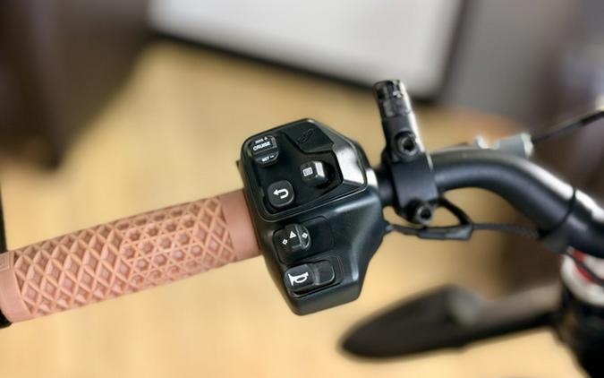 2022 Indian FTR 1200 S