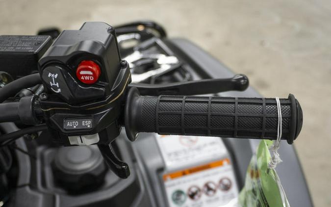 2026 Honda® FourTrax Foreman Rubicon 4x4 Automatic DCT EPS Deluxe